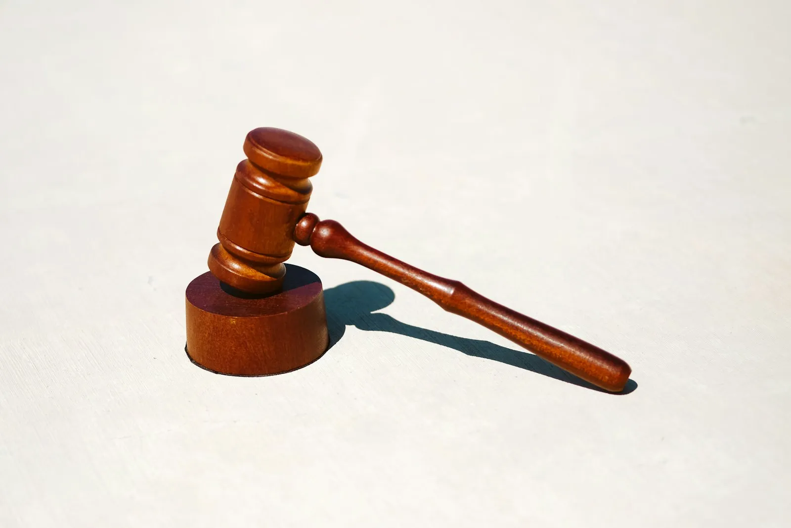 Tribunal Ready: How Professional Documents Help You Represent Yourself